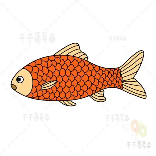 儿童画鱼简笔画_海洋动物简笔画