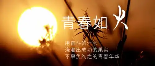 我成长在一带一路上系列报道②不负青春追梦向前我在新加坡外派的点滴