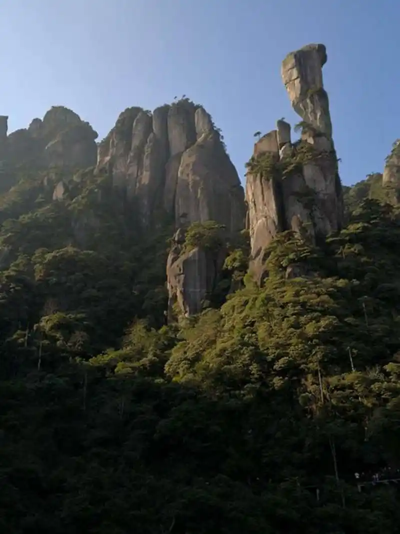 三清山巨蟒峰高多少米,巨蟒峰是怎么形成的?