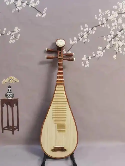 这把太好听了现场挑的有需要请联系#琵琶教学  #琵琶乐器  #琵琶