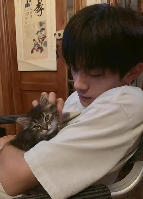 易烊千玺穿着休闲撸猫紧紧抱在怀中抚摸表情宠溺
