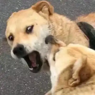 兮:沙雕情头.多想在平庸的生活拥抱你_情侣头像_我要个性网