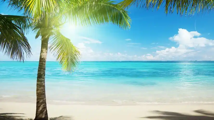 阳光海滩,高清图片,电脑桌面-壁纸族