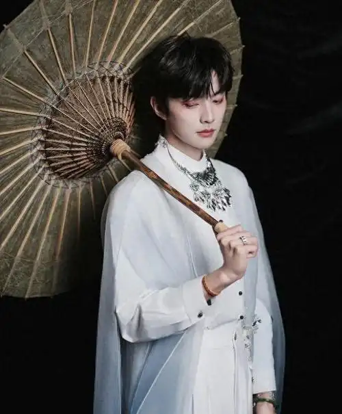 古风歌手王敬轩等我的隐喻都被读懂