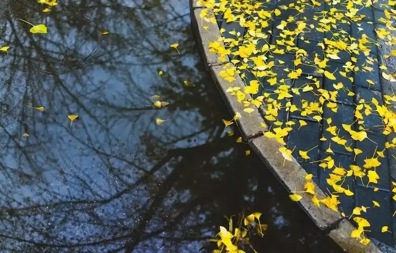 精美壁纸自然风景照