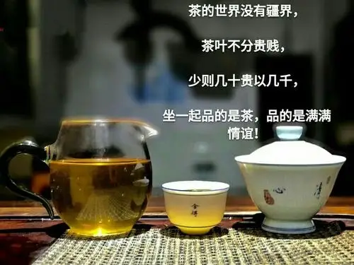 茶语