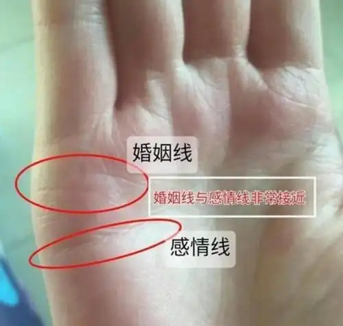 结晶|传统文化|生命线_网易订阅