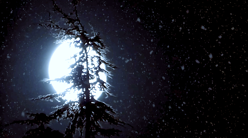 840_468gif 动态图 动图