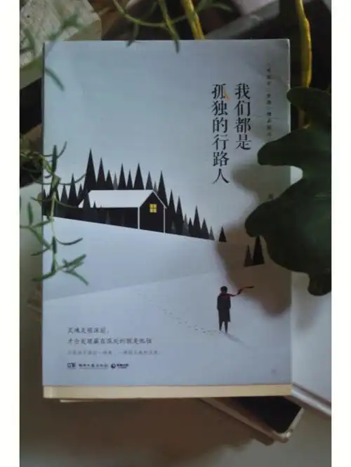 前几天在一家二手书店买了这本周国平先生的《我们都是孤独的行路人