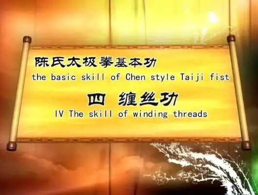 陈正雷陈氏陈式太极拳老架一路74式5dvd高清教学视频百度网盘下载