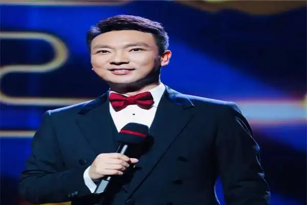 中国著名男主持人排行榜:白岩松第三,央视boys皆上榜