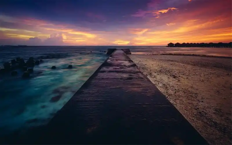 属鸡的遇到虎年运气怎么样暴败干扰财运糟糕