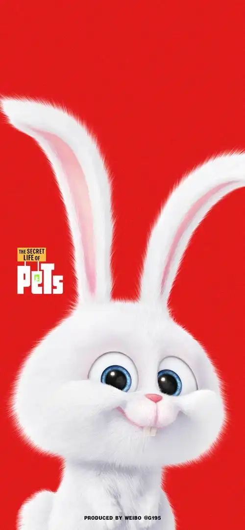 1125_2436竖版 竖屏