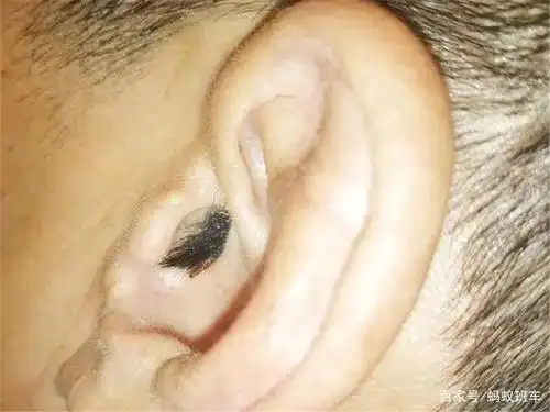 男子科目一考试"露马脚",考官看到耳朵发黑,衣服下有猫腻!