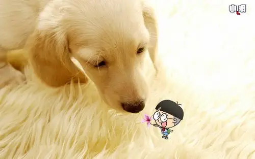 卡通可爱男孩桌面壁纸之大脑袋高清大图预览1920x1200_卡通动漫下载