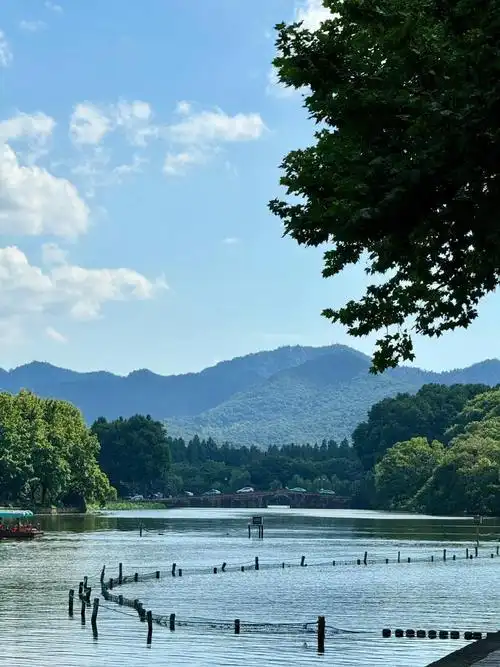 这三天突然的梅雨无缝转高温,作为住在杭州一年要逛无数次西湖的土著