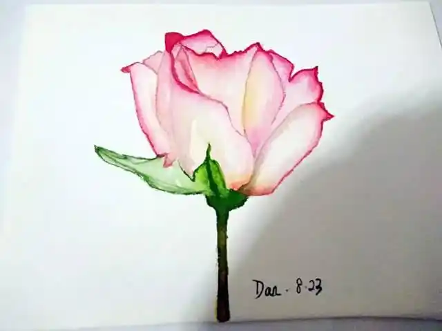 每天0.5小时,15节零基础水彩视频课带你轻松入门!