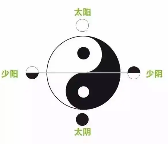 一张太极图带你读懂五脏阴阳