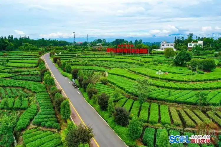雅安市名山区被评为四好农村路全国示范县