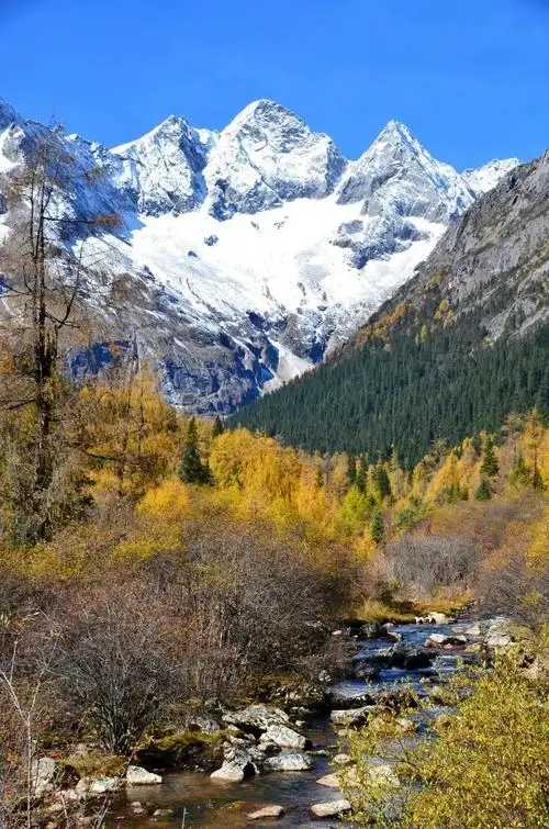 1080_1631竖版 竖屏