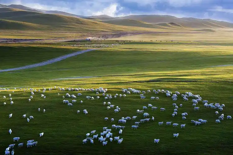 科尔沁草原风光
