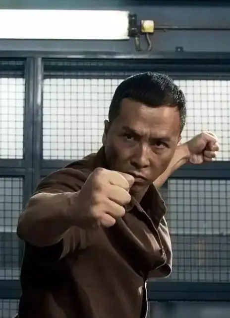 说几个最出名的功夫明星