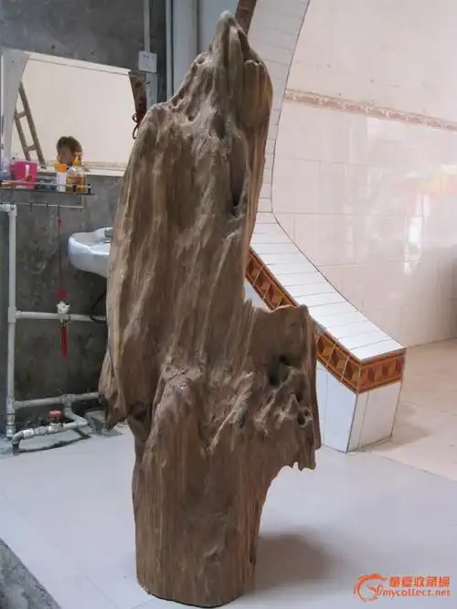 越南顶极水沉香大件——大龙根(千年黑沉香)