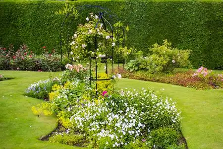 漂亮的淡粉色玫瑰花园照片