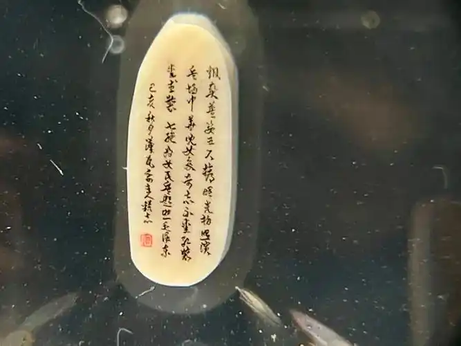 在米粒上雕一首词是种什么体验东莞藏了个微雕大师