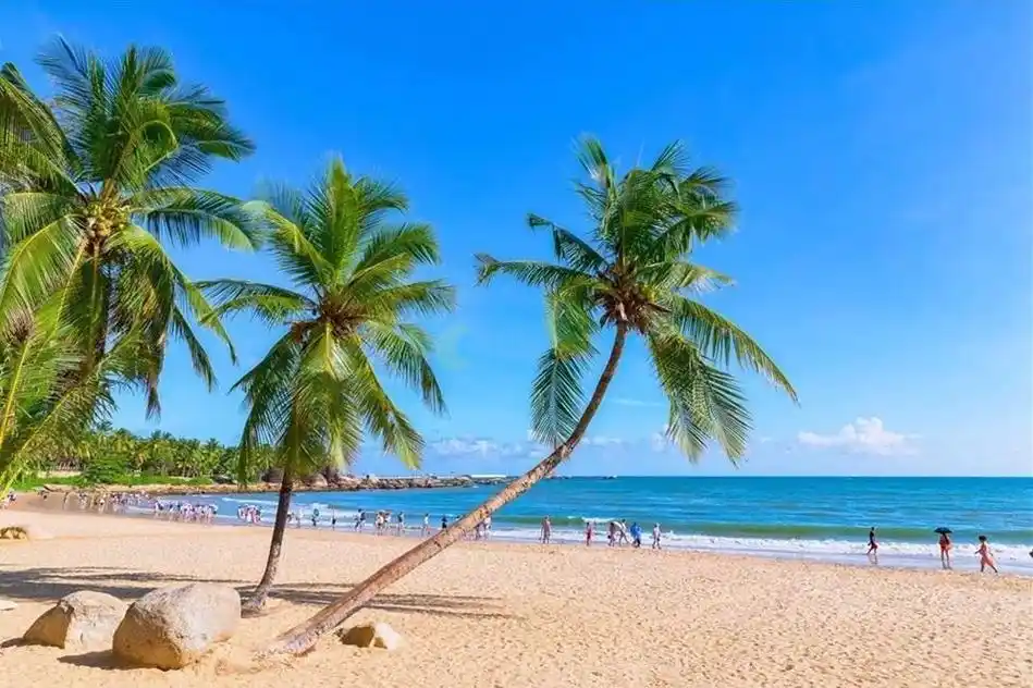 来海南千万别错过这篇攻略_三亚房产_旅居汇