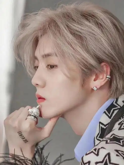 鹿晗同款耳钉(男明星"耳饰"大赏,鹿晗精致)-韩剧网-最新韩剧资讯网