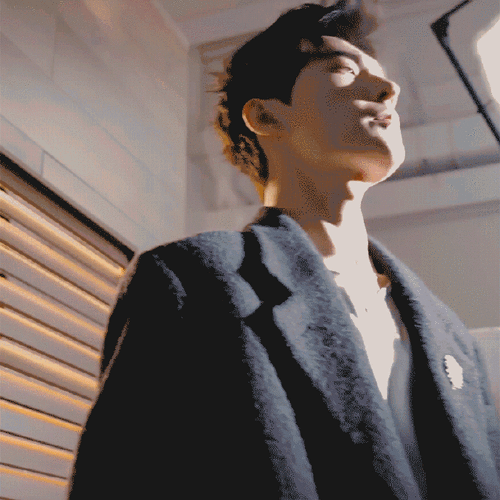 杨洋羊毛卷发型