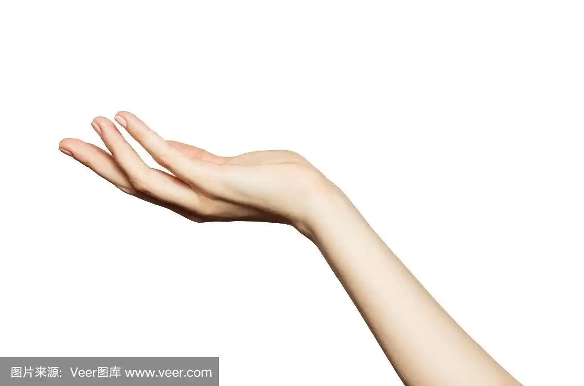 美丽女人的手的特写,掌心向上