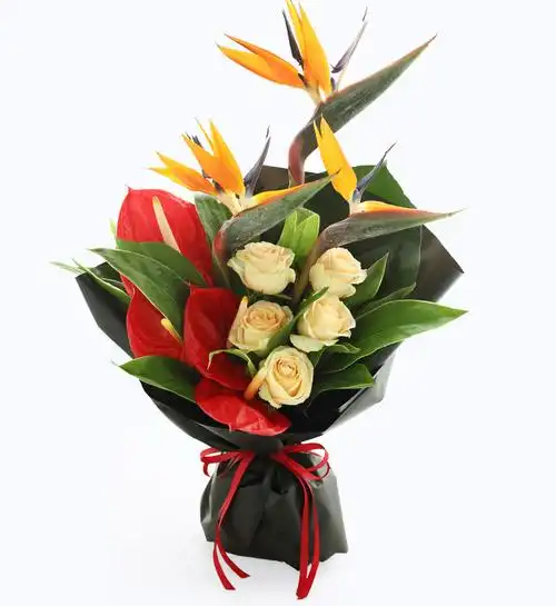 天堂鸟花象征着什么?一般都养几年才开花?