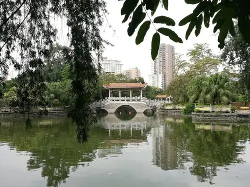 广东省广州市番禺区市桥街道桥兴大道15号天气预报