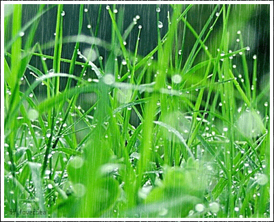 夏雨霏霏,飘飘洒洒.如丝,如绢,如雾,如烟.
