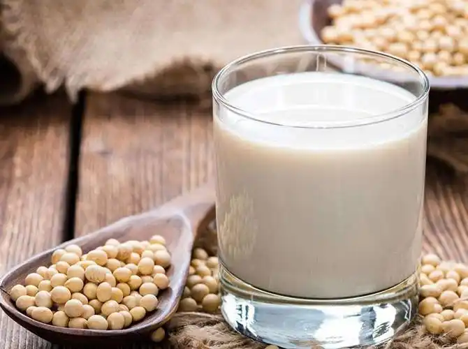 豆浆等营养早餐随意喝,有这些设备相助就足够了