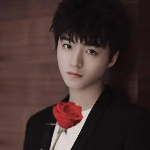 【微信头像】王俊凯