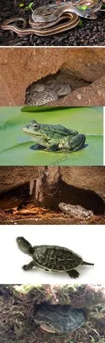 🌈彩虹组·周报🌈01.04-01.12 - 美篇