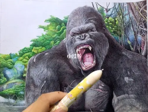 圆珠笔绘画金刚小红书绘画达人