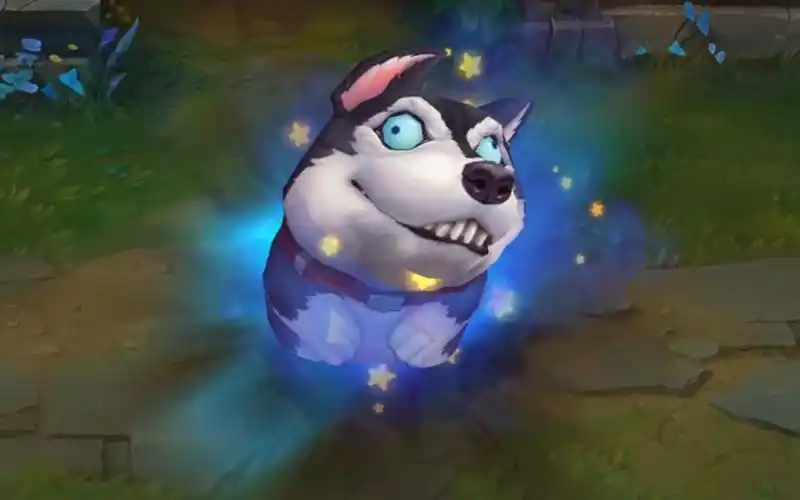 【皮肤预览】毛绒狗 菲兹