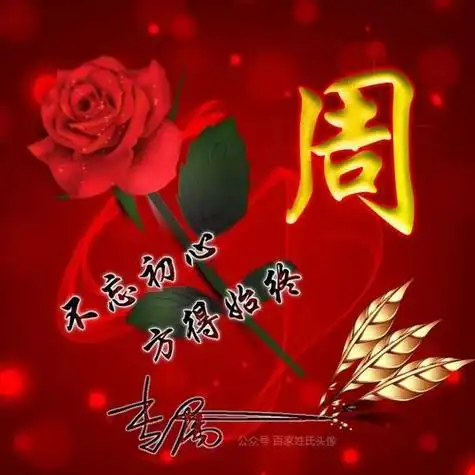 微信周字图片头像 周字图片头像图片高清_布阁拉