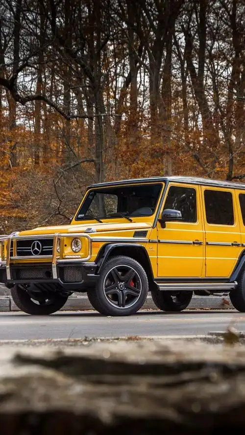 壁纸库|大g袭来_凤凰网汽车_凤凰网