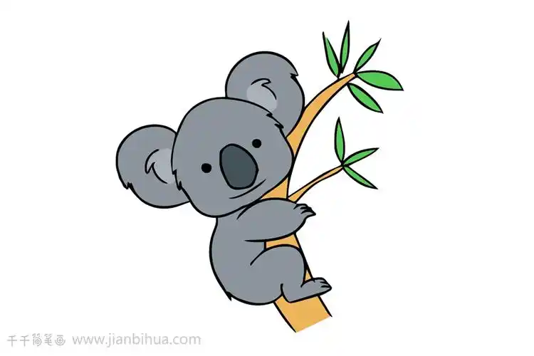 树袋熊简笔画轻松学画画