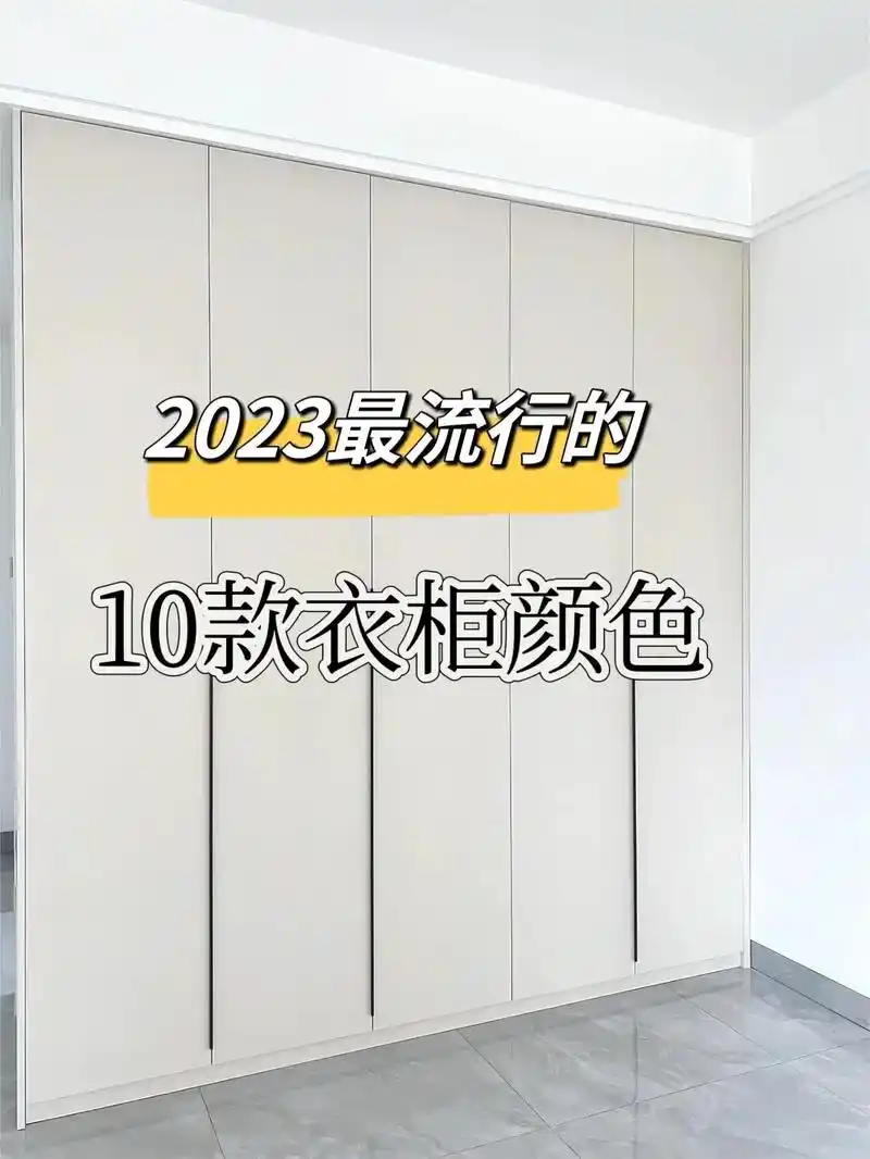 全屋定制 2023最流行的10款衣柜颜色#衣柜 #一门到顶 - 抖音