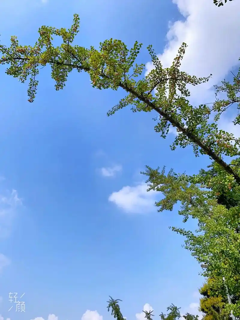 蓝天白云晴空万里.逢人不必言深,孤独本是常态,倘若深情被辜负 - 抖音