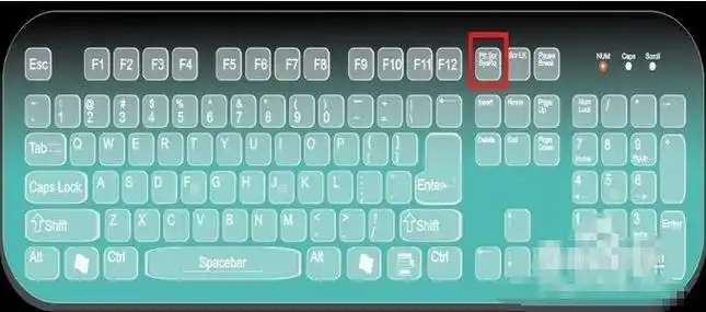 电脑上截图的快捷键是什么