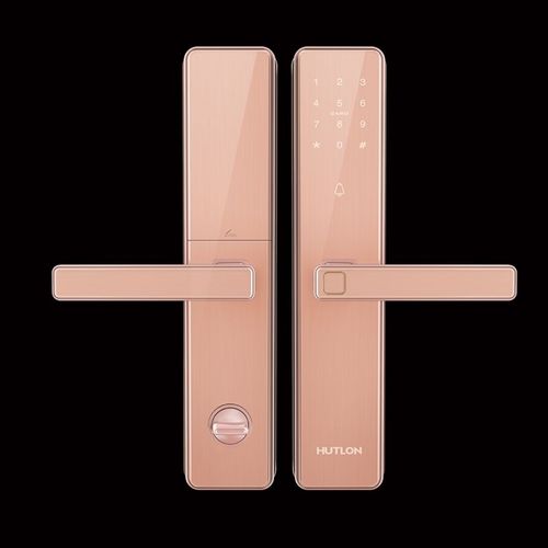 汇泰龙   指纹锁家用防盗门智能电子密码入户门锁a8s