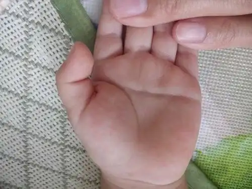宝宝掌纹