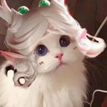 表情包#王者荣耀猫头系列2